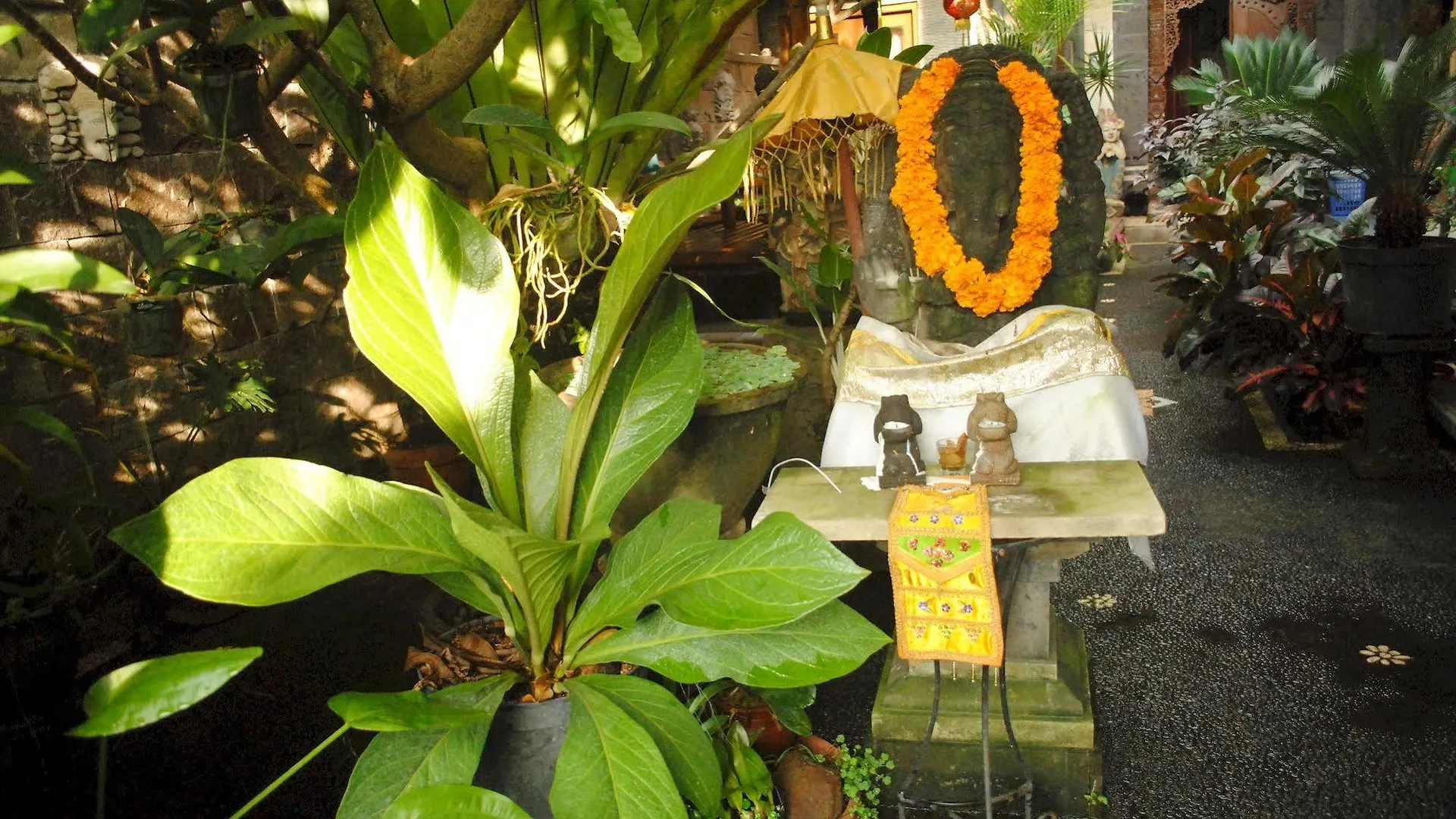 Jangkrik Homestay Ubud