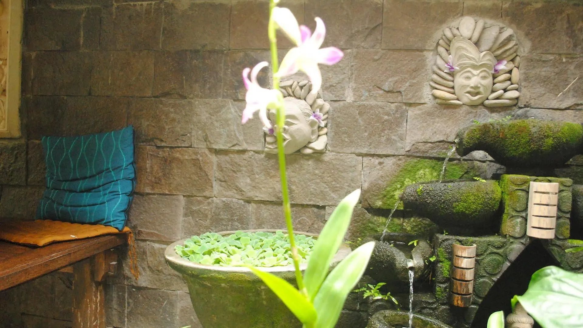 Jangkrik Homestay Ubud  0*, Ubud (Bali) Indonesia